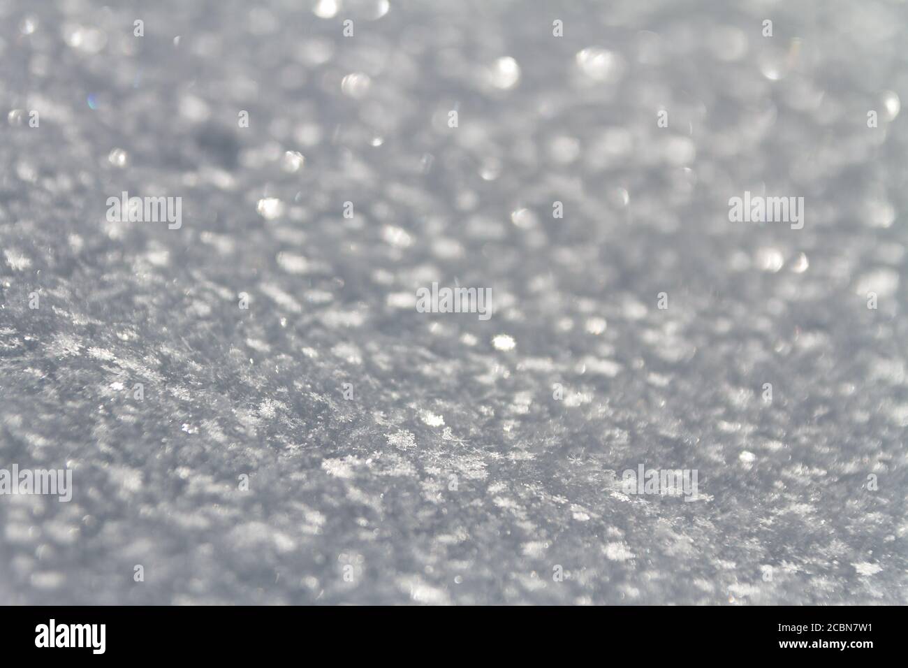White snowflakes macro Stock Photo