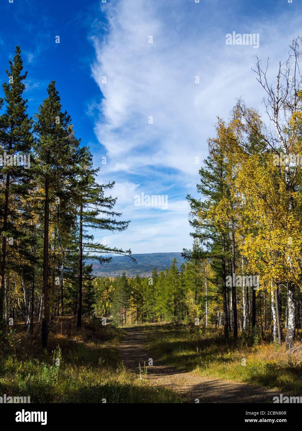 Autumn forest and blue sky with clouds Stock Photo - Alamy