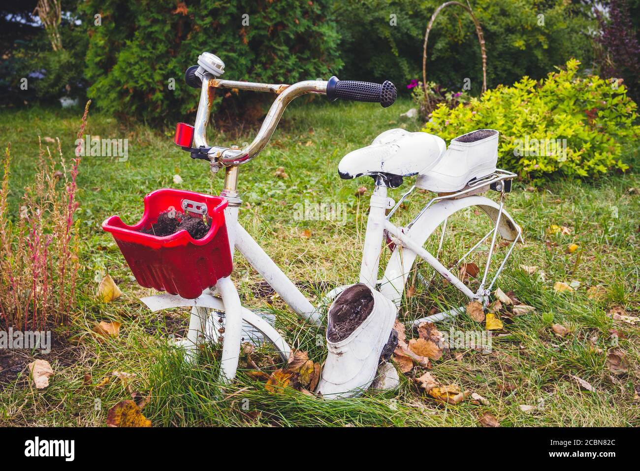 old white decorative bicycle with a red basket and white galoshes in the garden. Stock Photo
