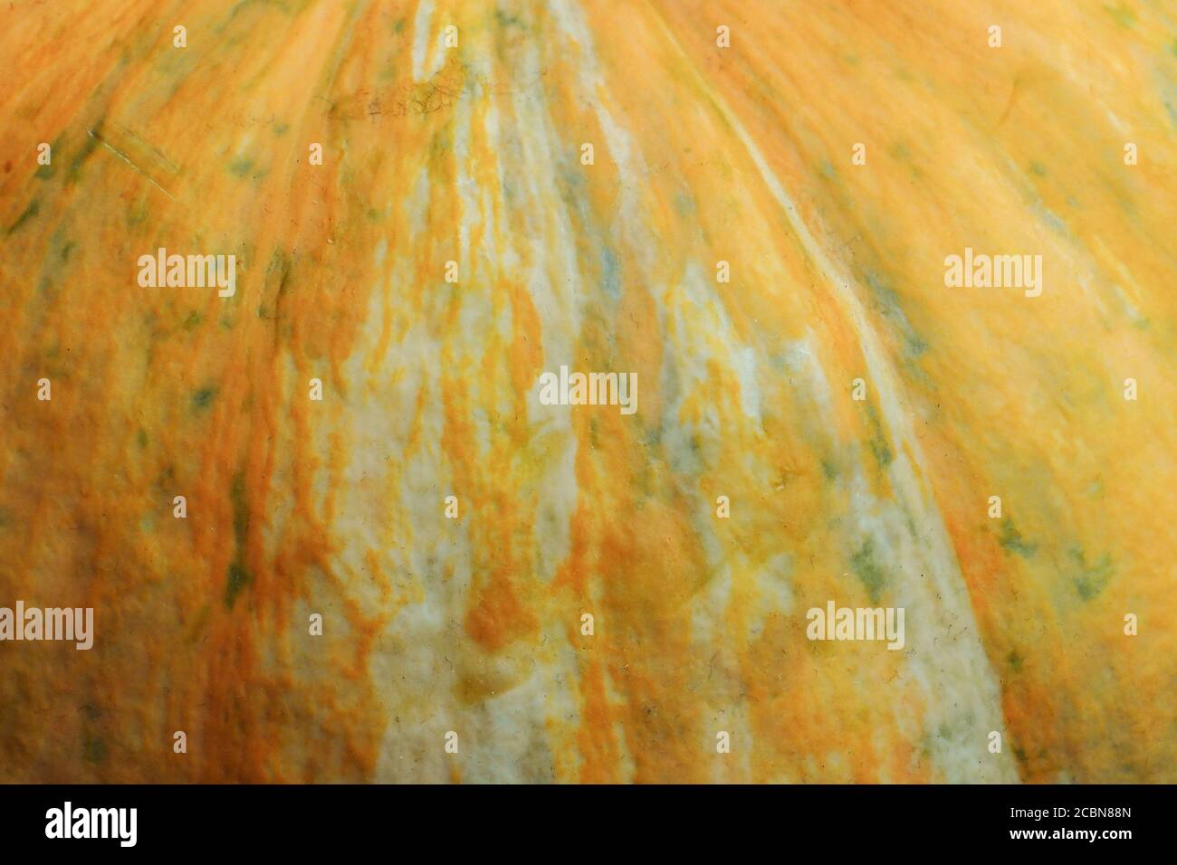 Abstract Textured Background of a Pumpkin. Orange pumpkin texture Stock ...