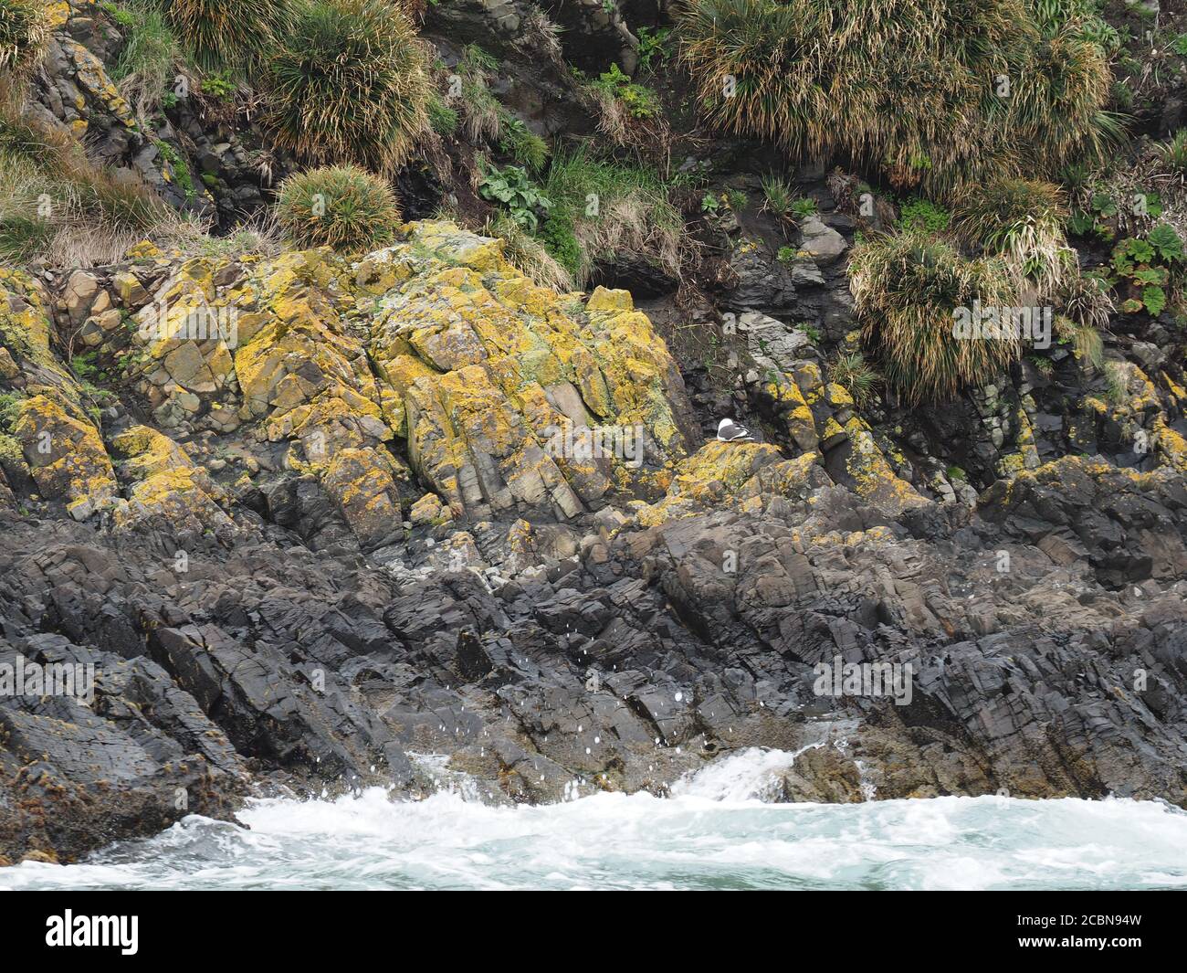 Closeup shot strong waves hi-res stock photography and images - Alamy