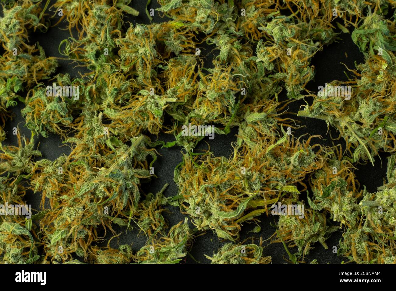 Cannabis buds texture background, marijuana backdrop Stock Photo