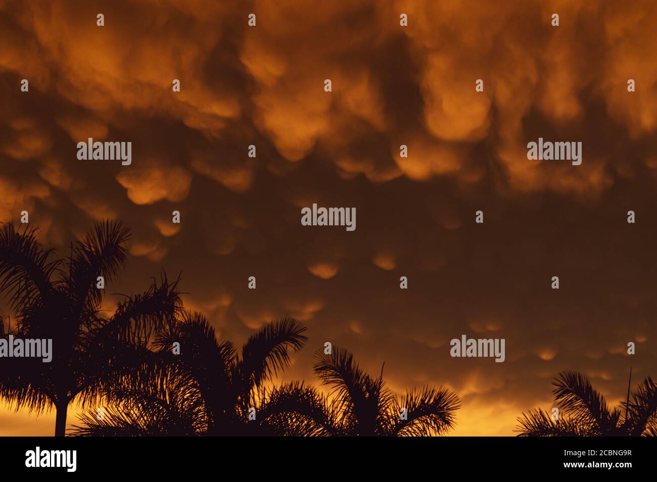 Mammatus Clouds, Apocalyptic sky in Mexico Stock Photo