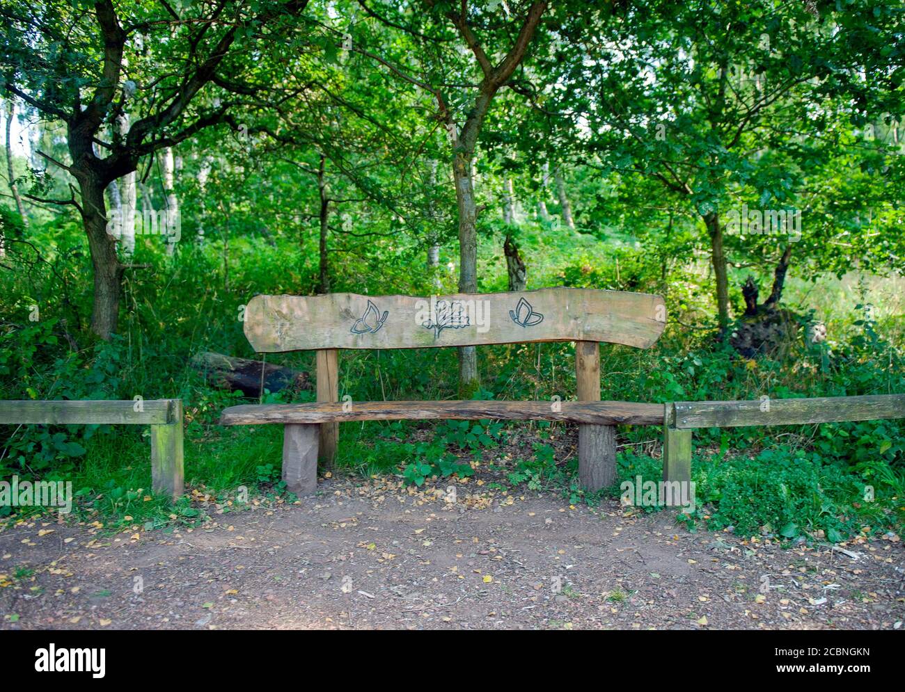 Wooden bench in Sherwood Forest Country Park Stock Photo
