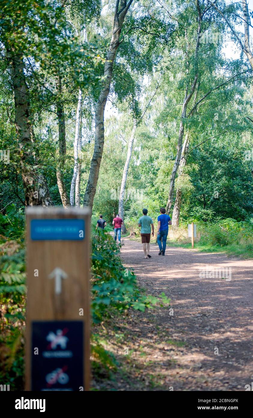 Signposted trail in Sherwood Forest Country Park Stock Photo
