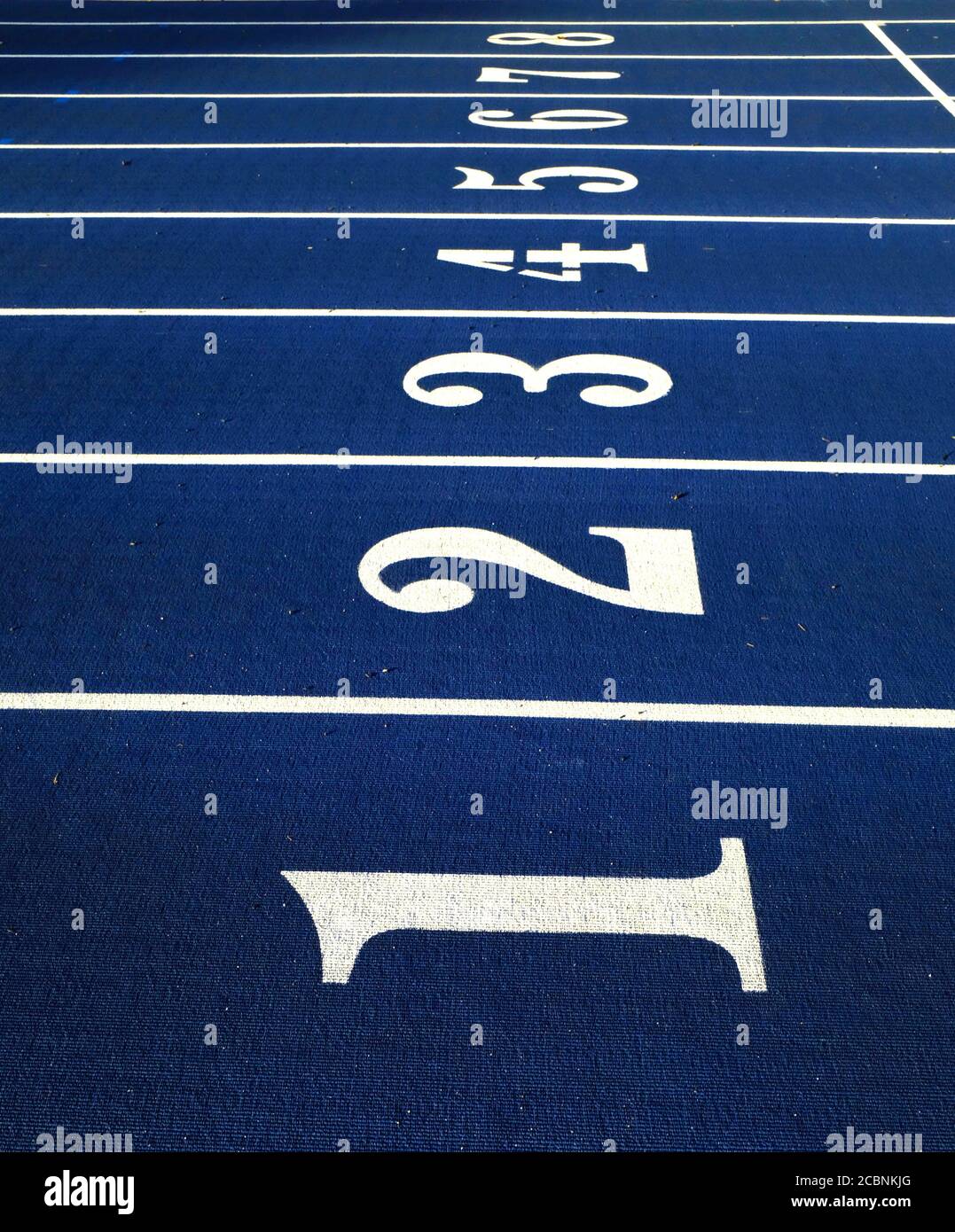 Blue Running Track with White Lane Numbers in Outdoor Stadium Stock