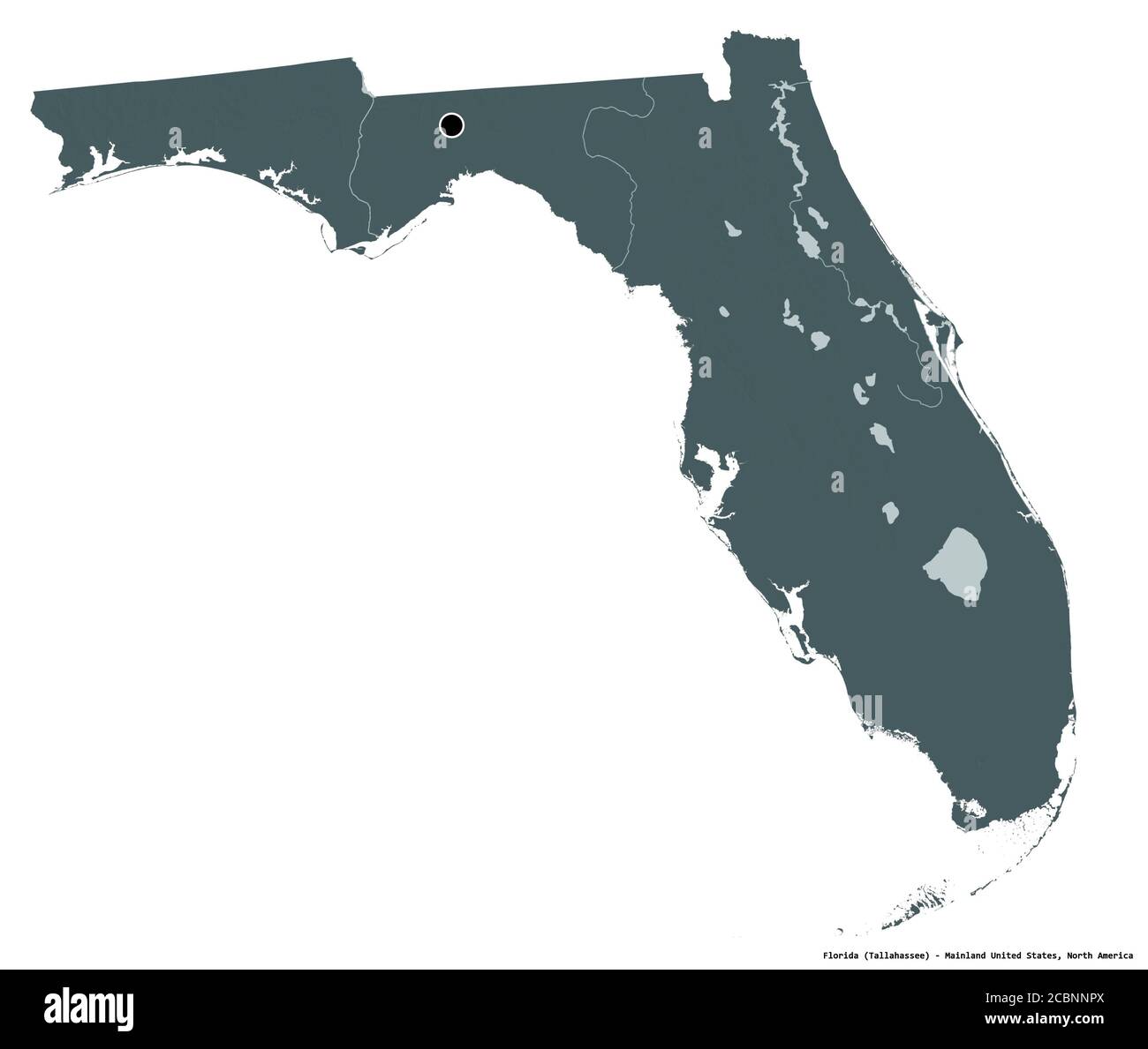 3d Elevation Map Of Florida Shape Of Florida State Of Mainland United States With Its Capital Isolated On White Background Colored Elevation Map 3d Rendering Stock Photo Alamy