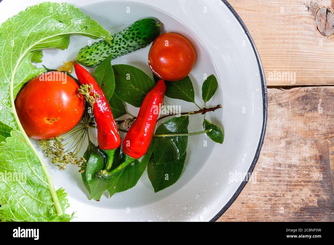 Tomatoes Red Peppers Dill Seeds And Cherry And Horseradish Leaves In Water In A White Enamel Bowl Stock Photo Alamy