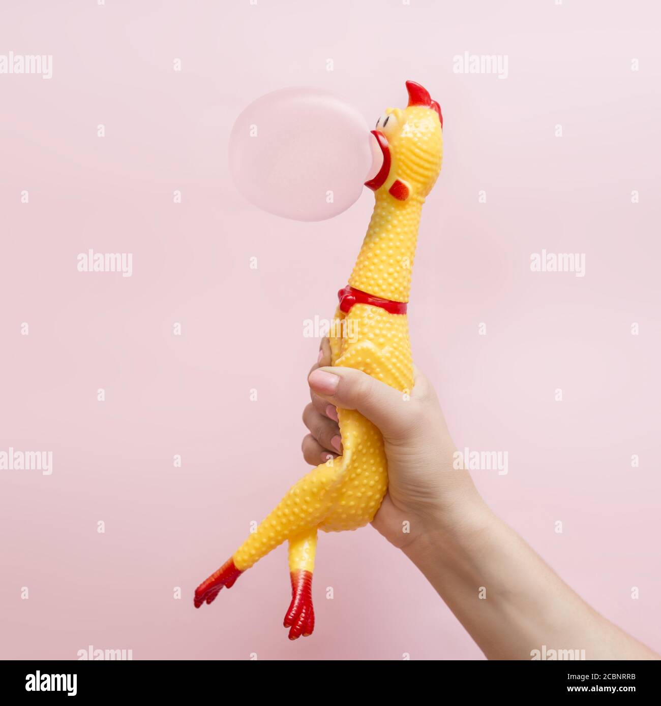 Hand squeezing a rubber chicken toy blowing a gum bubble Stock Photo