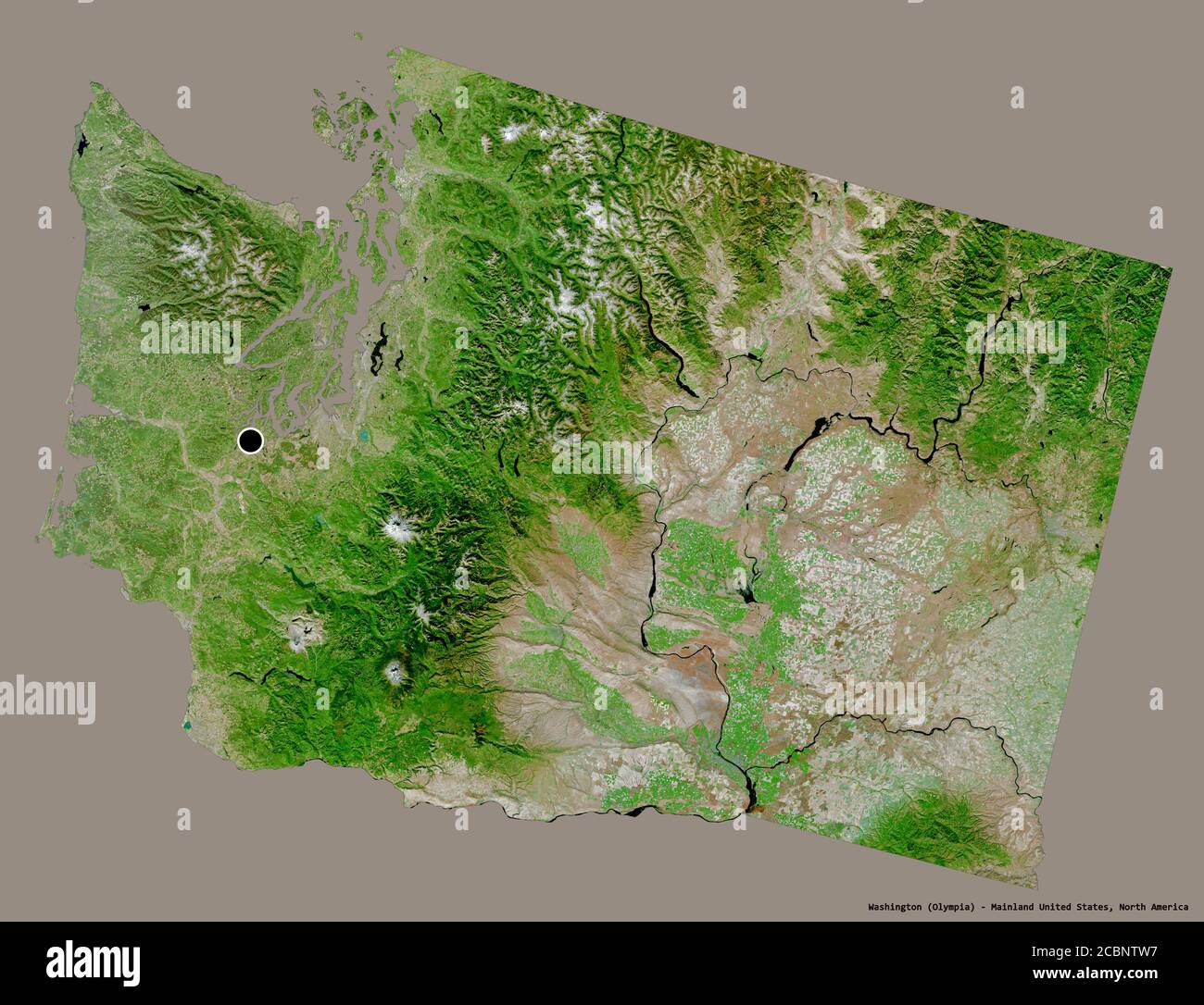 Satellite Map Of Washington State Shape Of Washington, State Of Mainland United States, With Its Capital  Isolated On A Solid Color Background. Satellite Imagery. 3D Rendering Stock  Photo - Alamy
