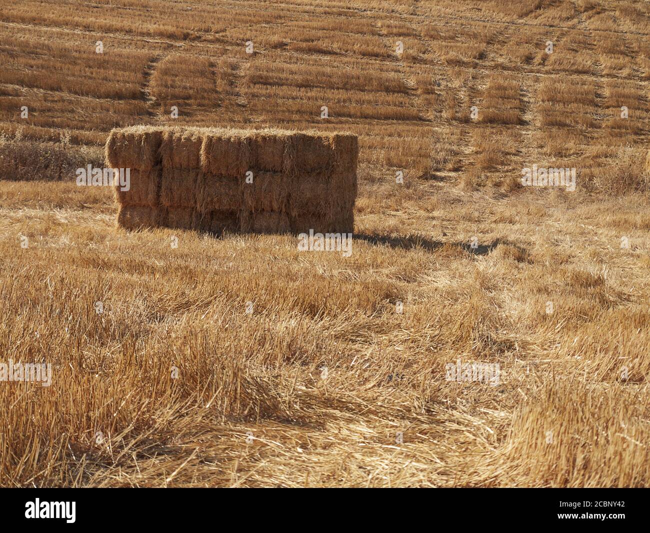 Agricultural farm captured on a sunny day Stock Photo - Alamy