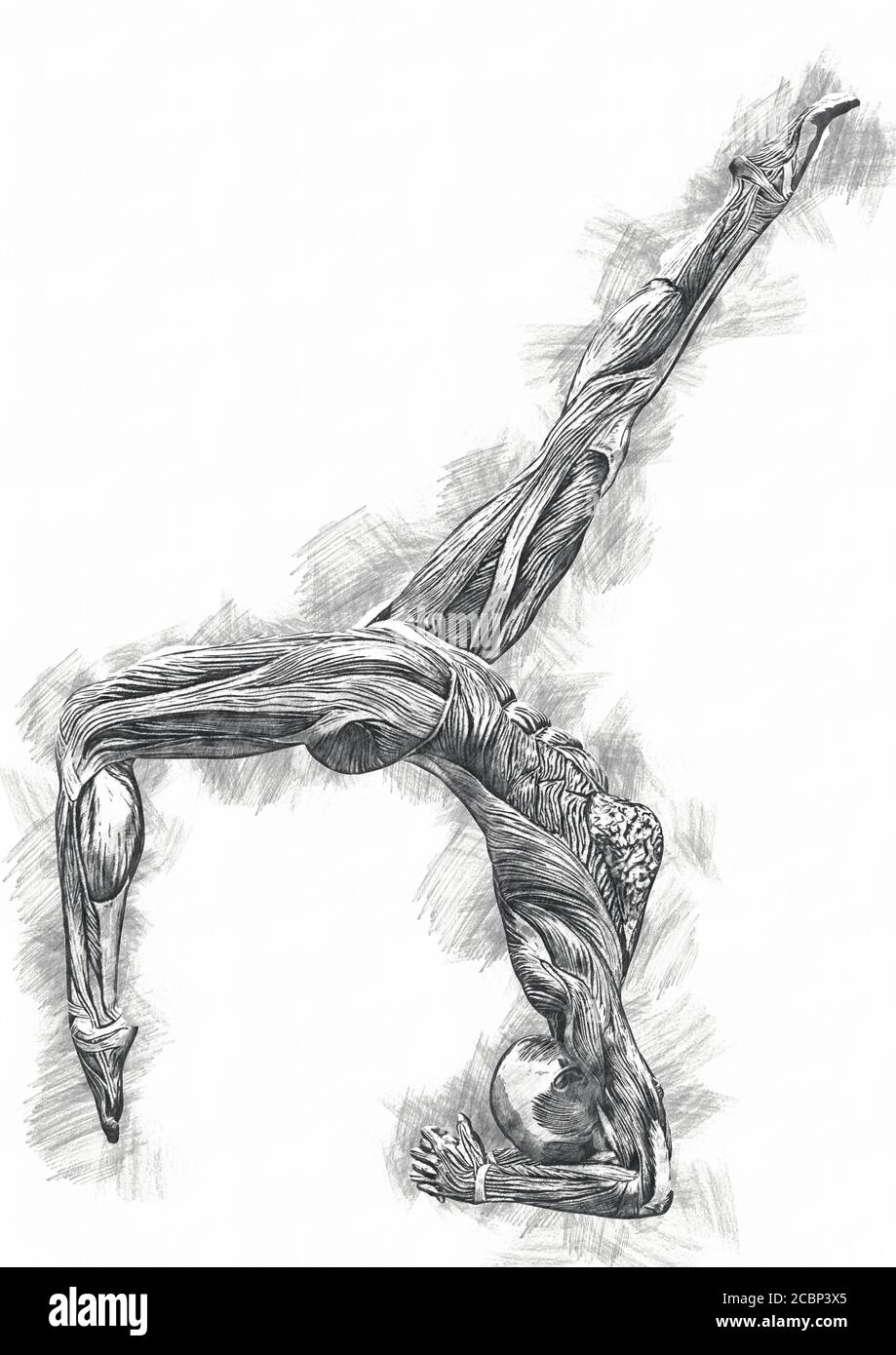 muscle woman doing a scorpion with crow variation pose in sketcher style, 3d illustration Stock Photo
