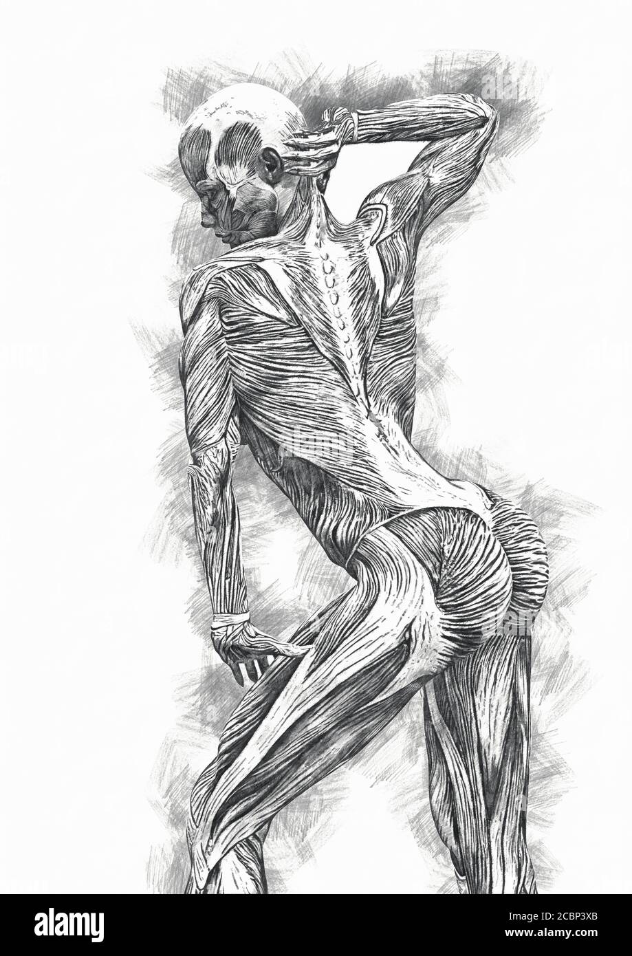 muscle woman doing a gymnastic pose in sketcher style close up, 3d illustration Stock Photo