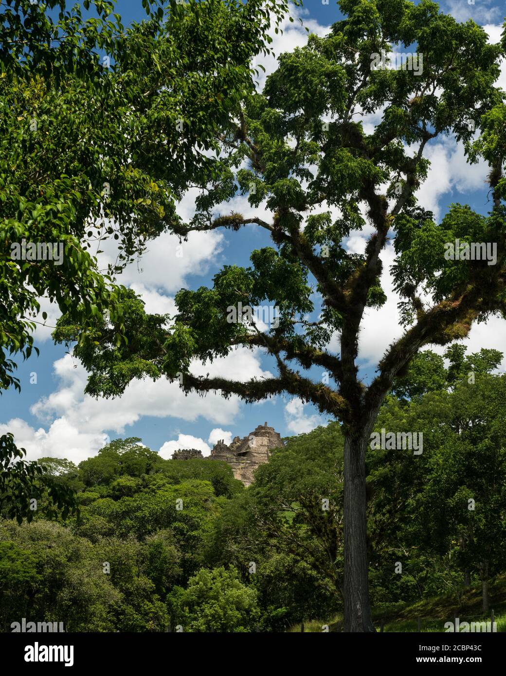 The stepped pyramid at Tonina rises from the surrounding rainforest ...