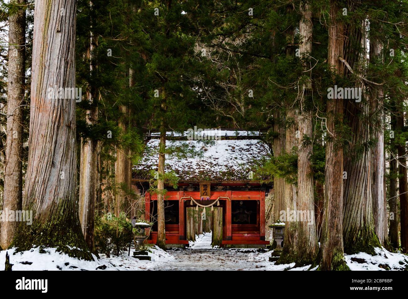 Togakushi jinja shrine hi-res stock photography and images - Alamy