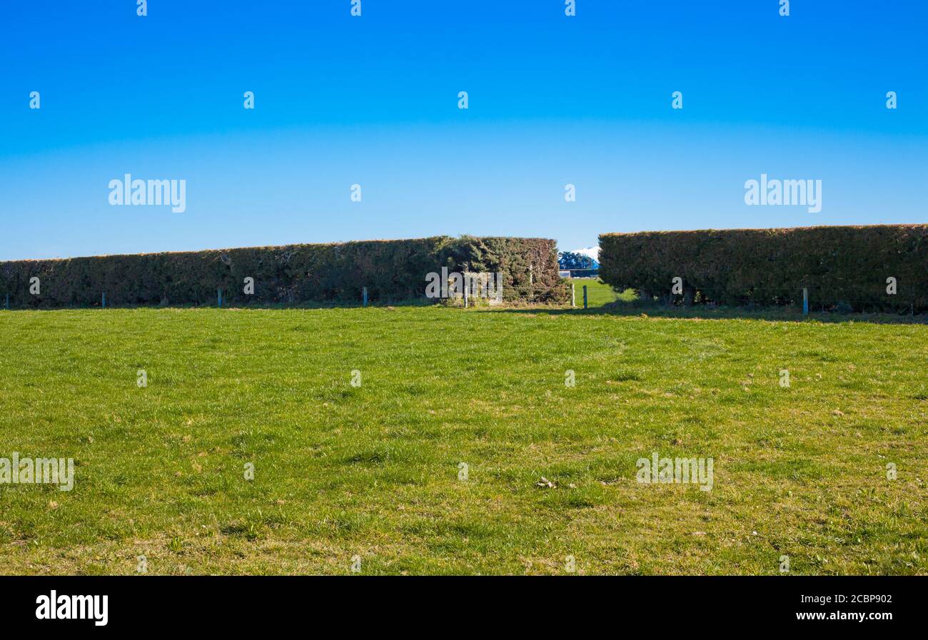 Shelter belt hi-res stock photography and images - Alamy