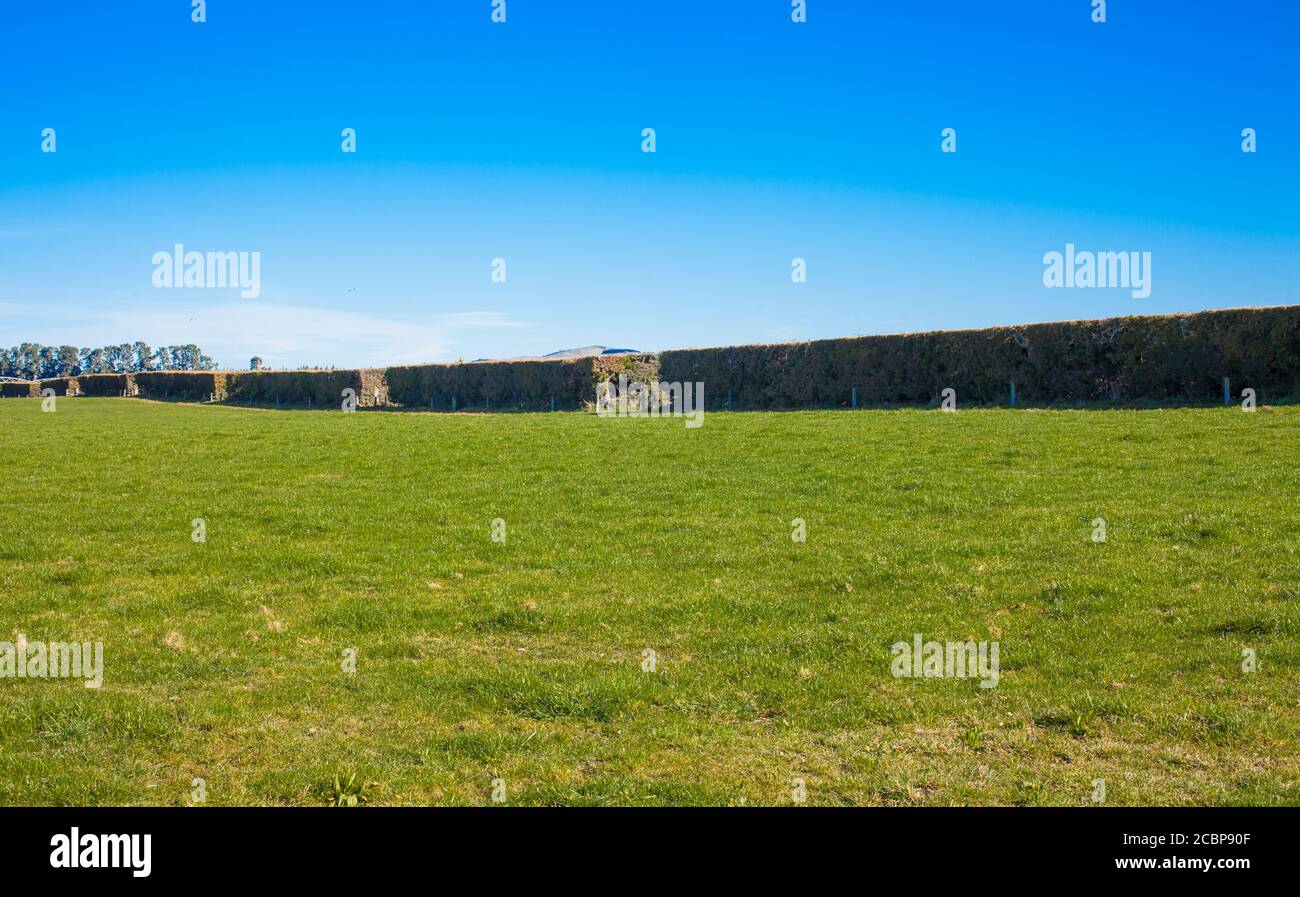 Shelter belt hi-res stock photography and images - Alamy