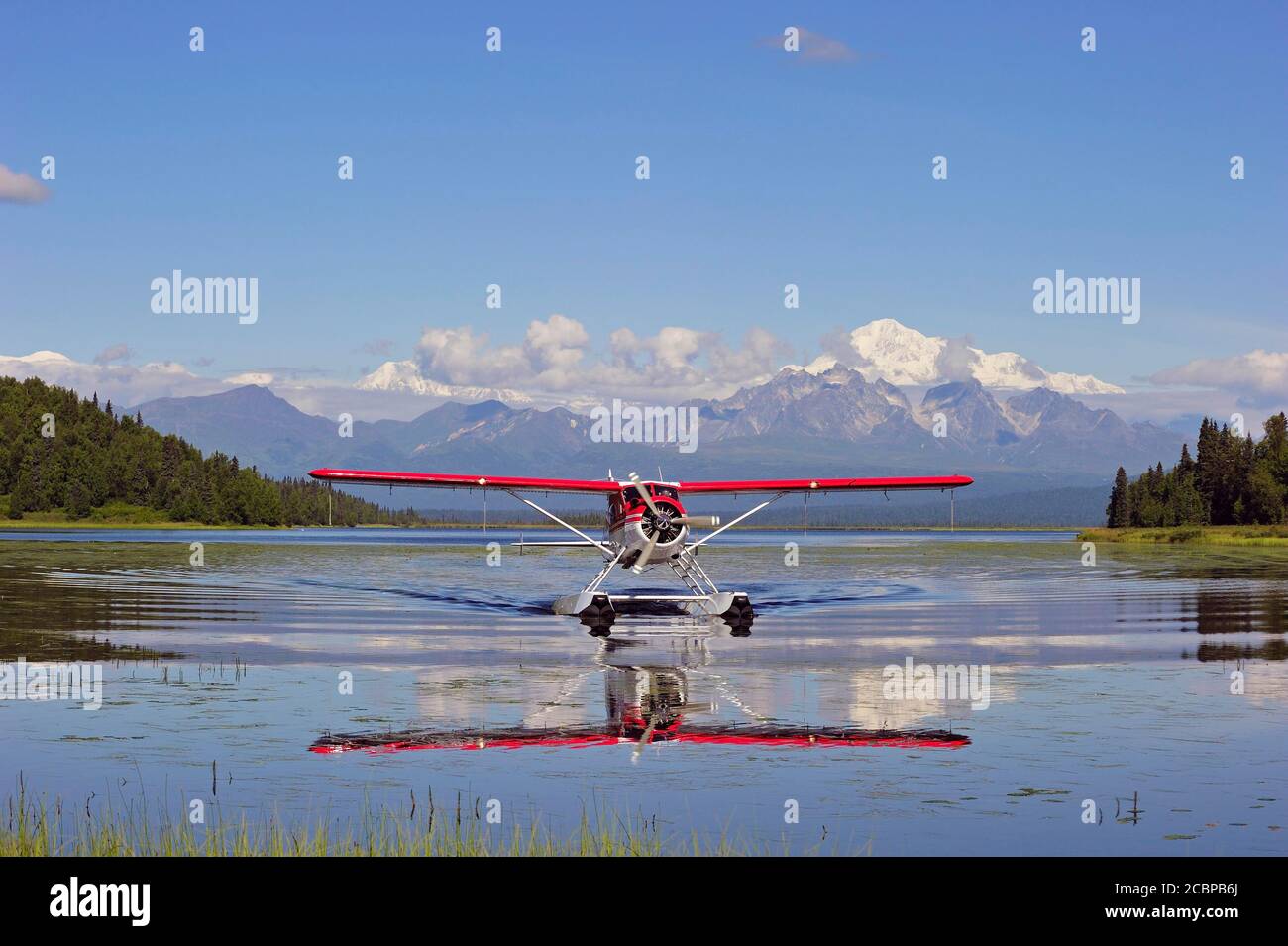 Seaplane Beaver de Havilland lands on a lake off snow-covered mountain Denali, Alaska, USA Stock Photo