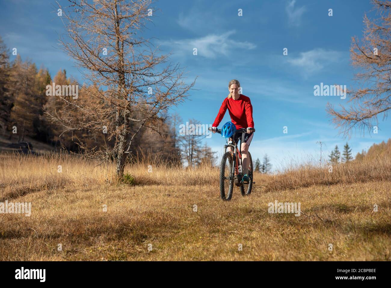 Mountain biker in her late forties, red sweater, on e-MTB in autumnal alpine pasture landscape, Serles, Mieders, Tyrol, Austria Stock Photo