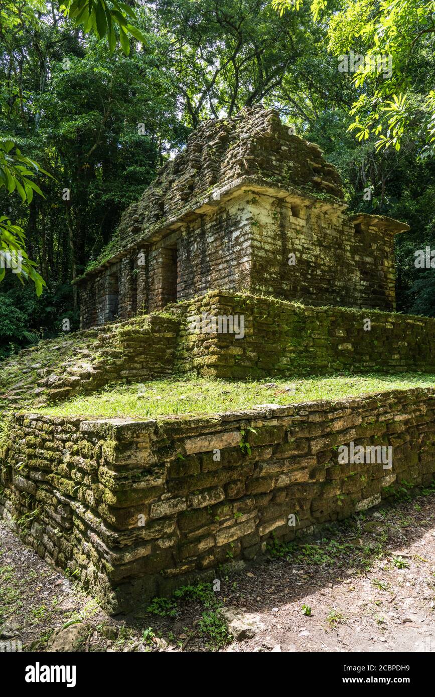 Temple 30 in the ruins of the Mayan city of Yaxchilan on the Usumacinta ...