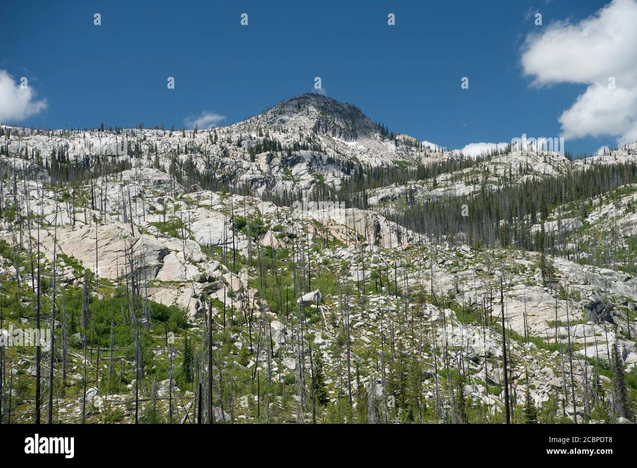 Idaho (Atlanta) Batholith from Lick Creek summit in the Payette National Forest in west-central Idaho Stock Photo