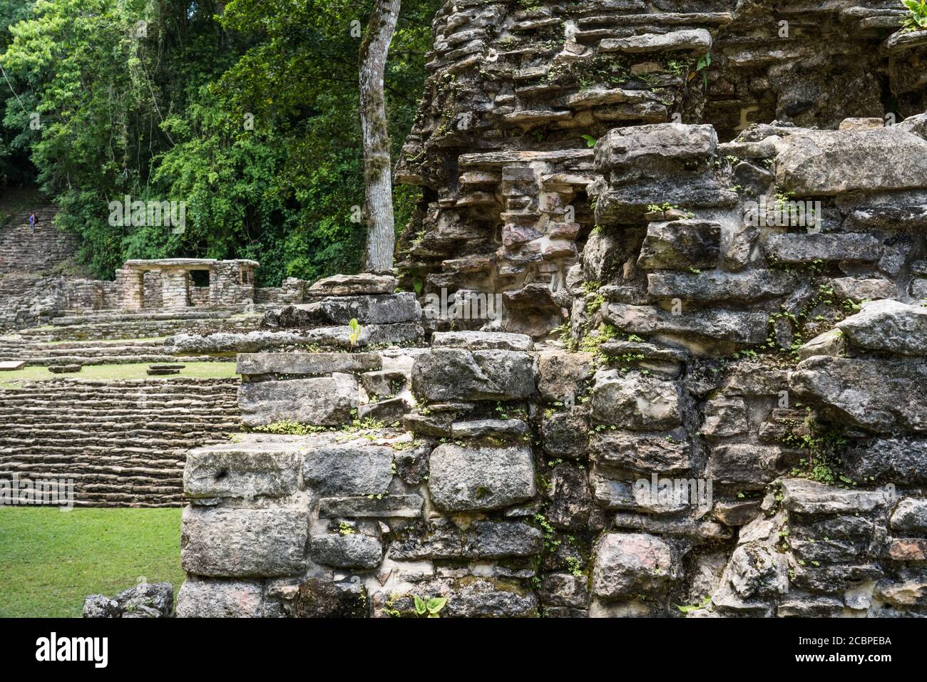 In the background is Temple 22 in the ruins of the Mayan city of ...