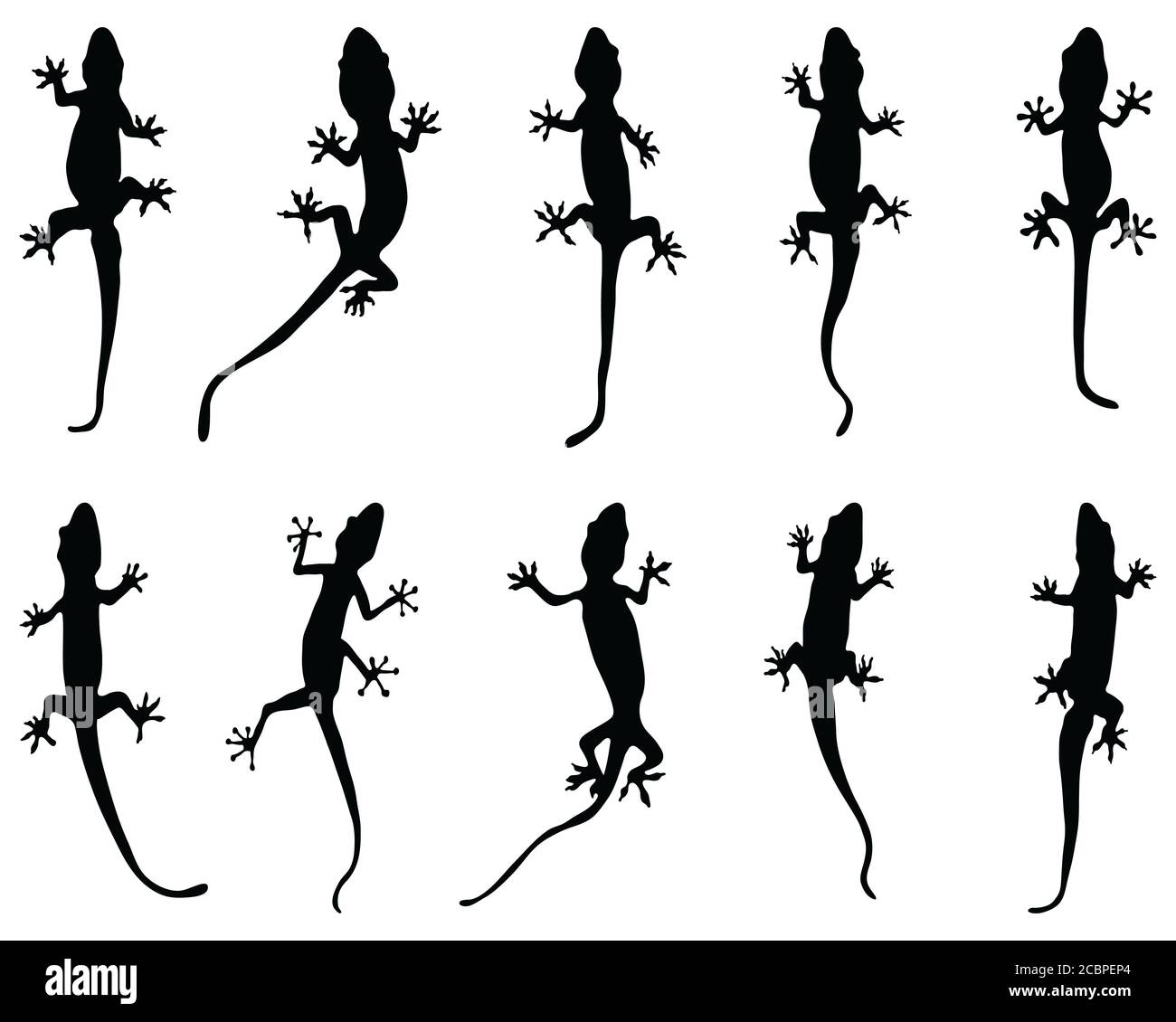 Black silhouettes of lizards on a white background Stock Photo