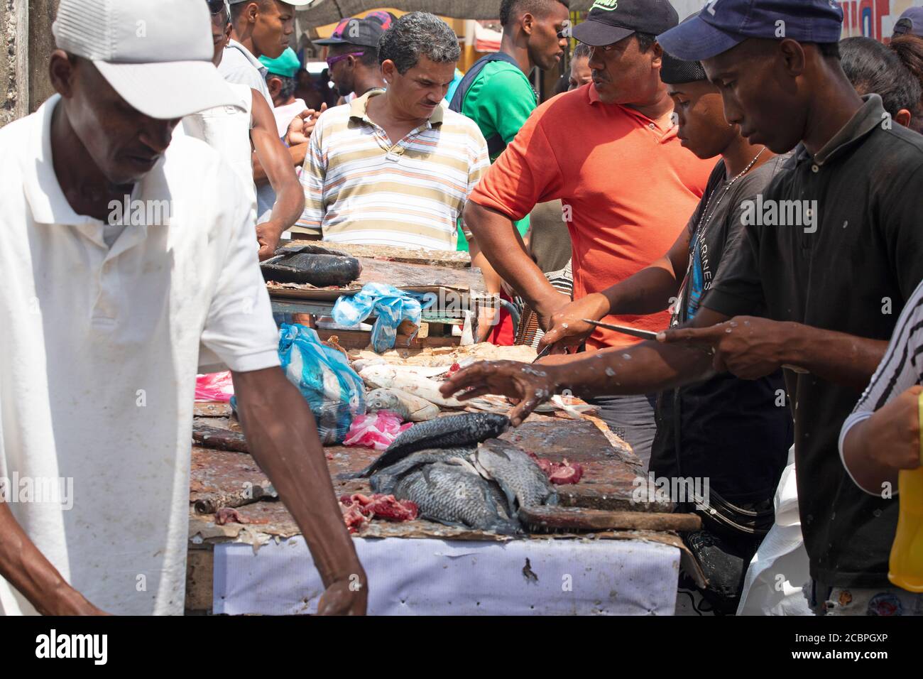 Cartagena Columbia fish market workers shoppers. 5064. Cartagena