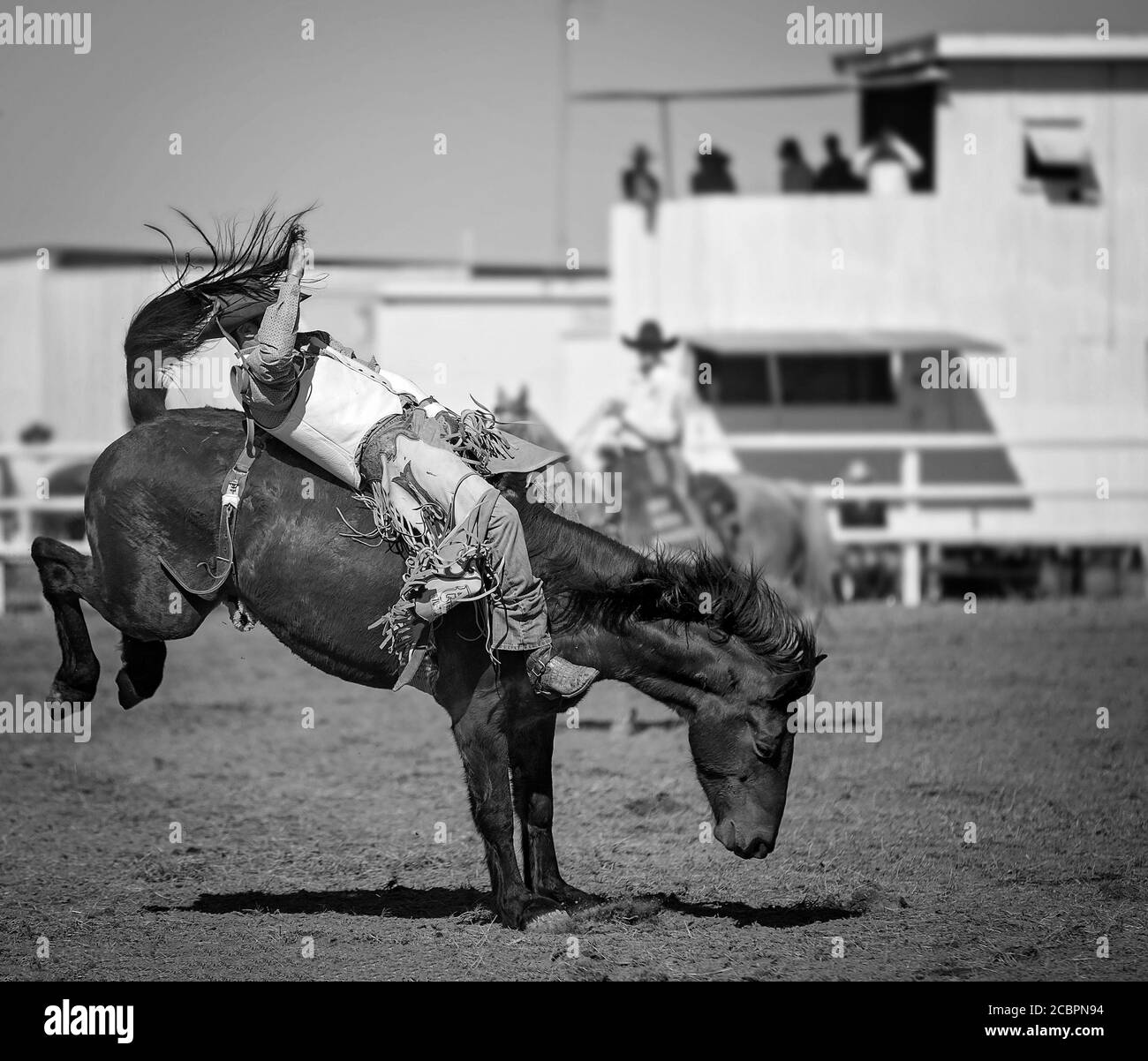 Cowboy competing in saddle bronc event at a country rodeo Stock Photo