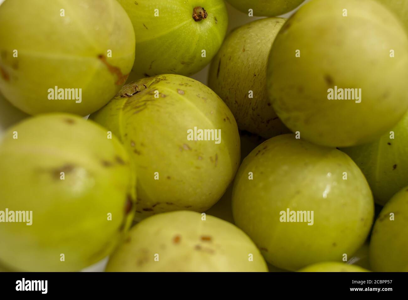 Indian gooseberry (amla) fruit rich in vitamin c and immunity boosting