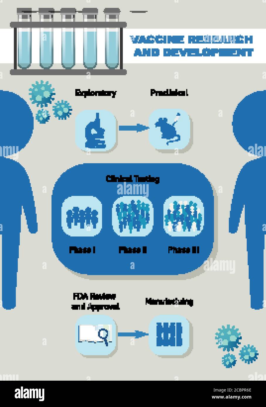 Vaccine research and development infographic illustration Stock Vector ...
