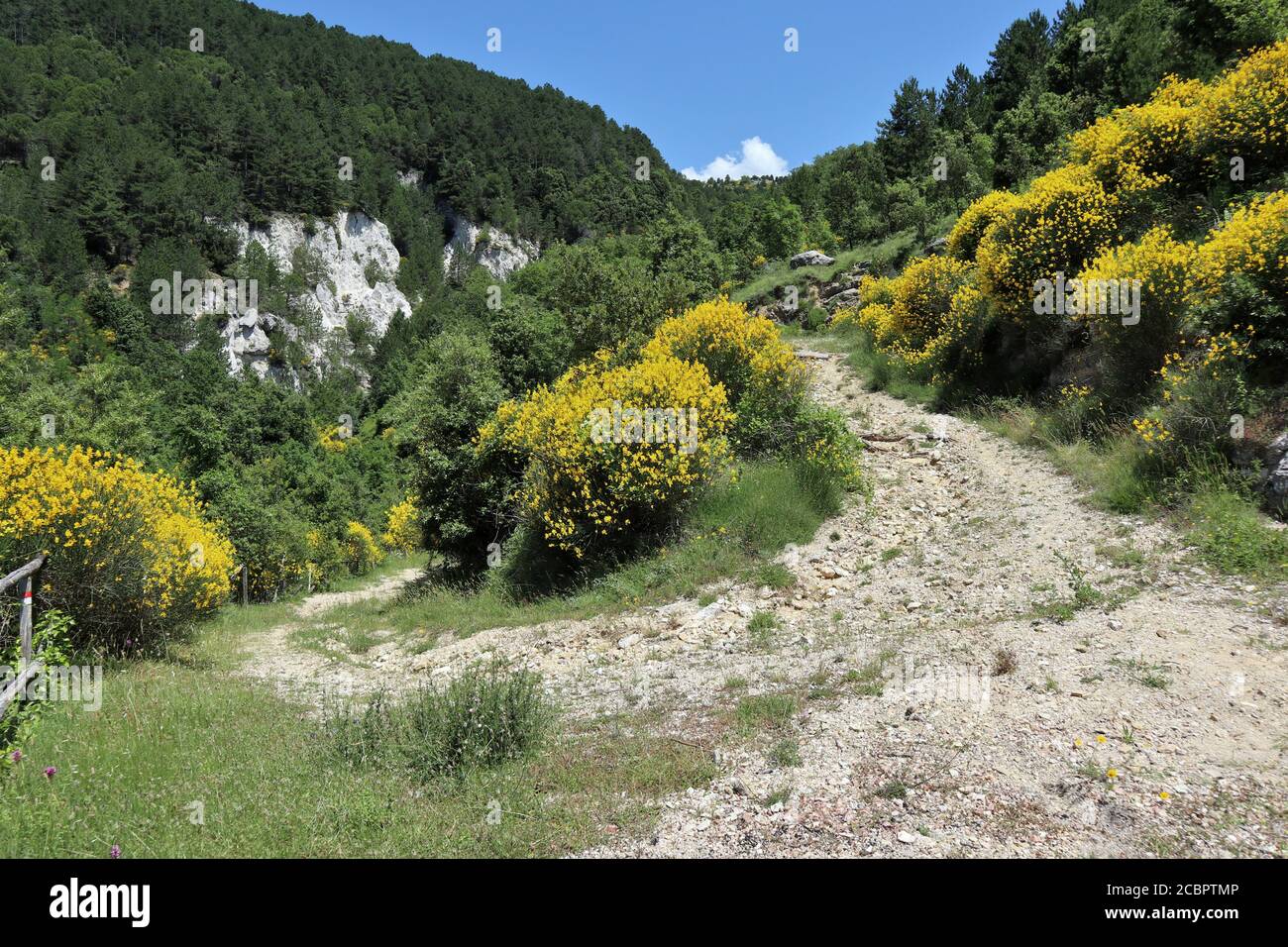Sentiero fiorito hi-res stock photography and images - Alamy