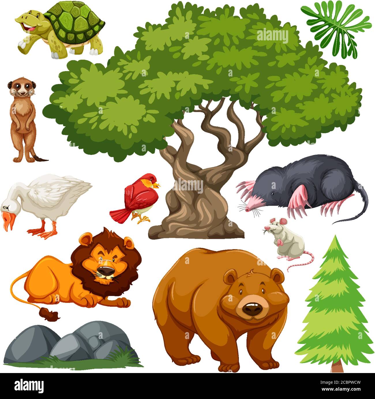 Set of cute wild animal and nature illustration Stock Vector Image ...
