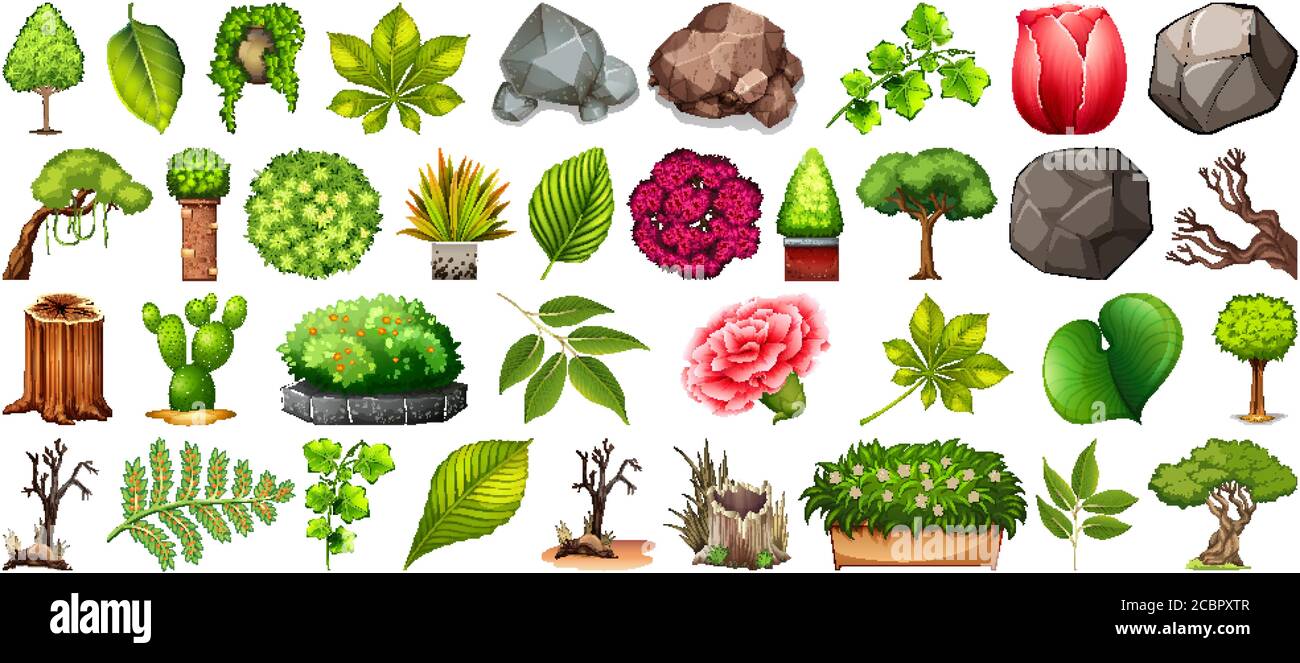 Set of different nature isolated on white background illustration Stock ...