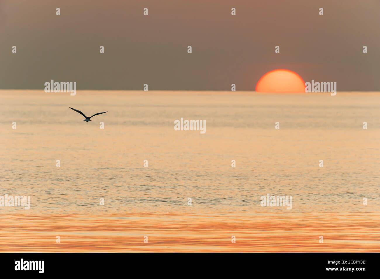 Positive towards the sun hi-res stock photography and images - Alamy