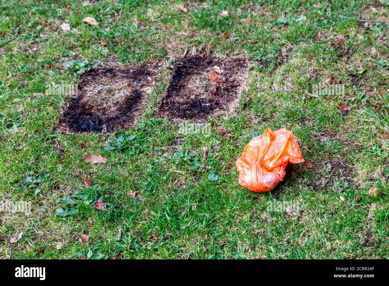 People picking up litter in an area hires stock photography and images