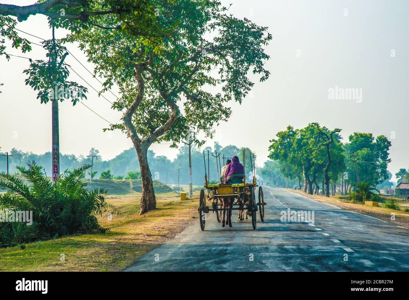 INDIA, BIHAR, Bullock car on an empty country road in the soft light of a misty morning Stock Photo