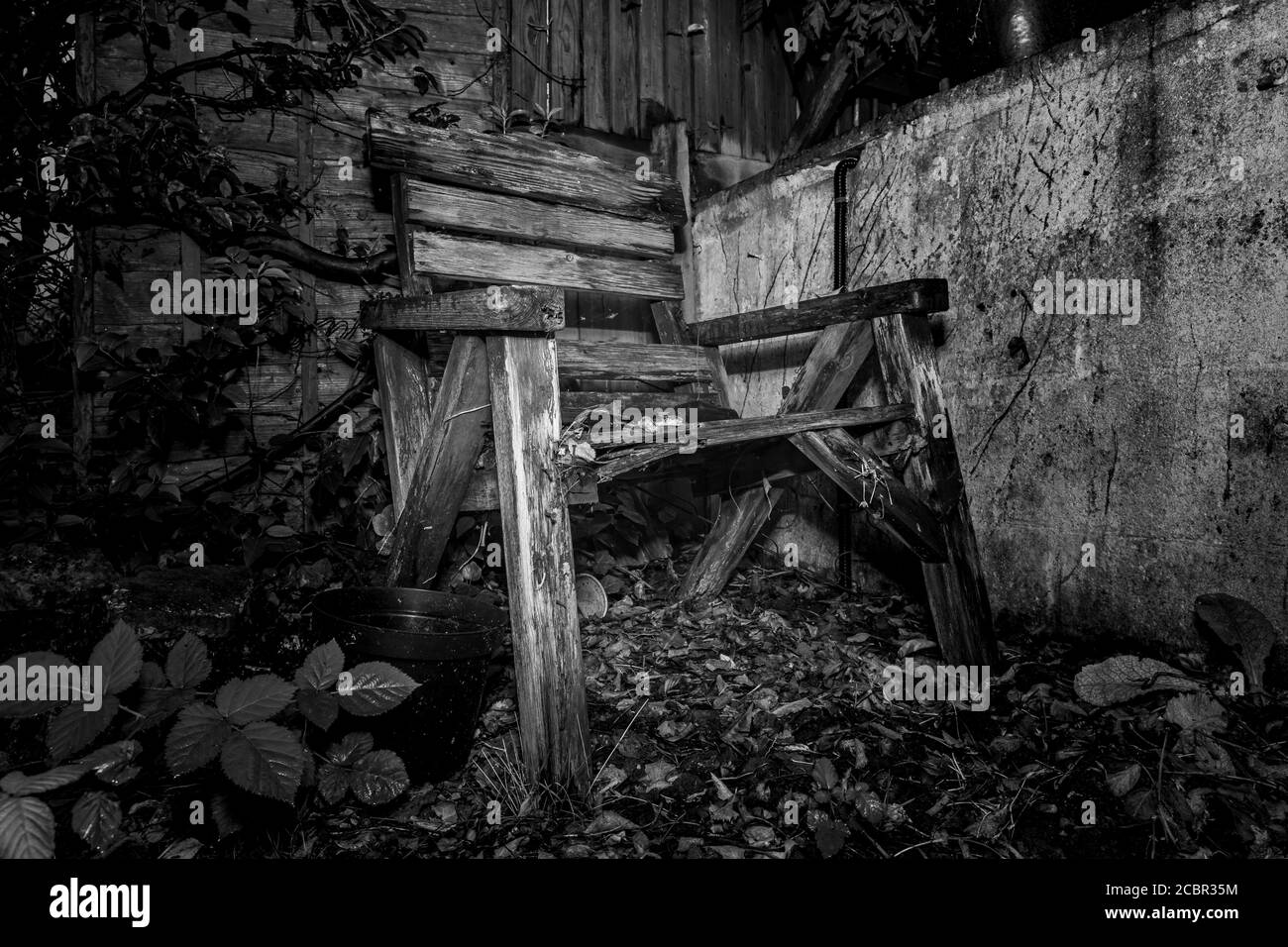 Rotting wooden bench in overgrown corner Stock Photo