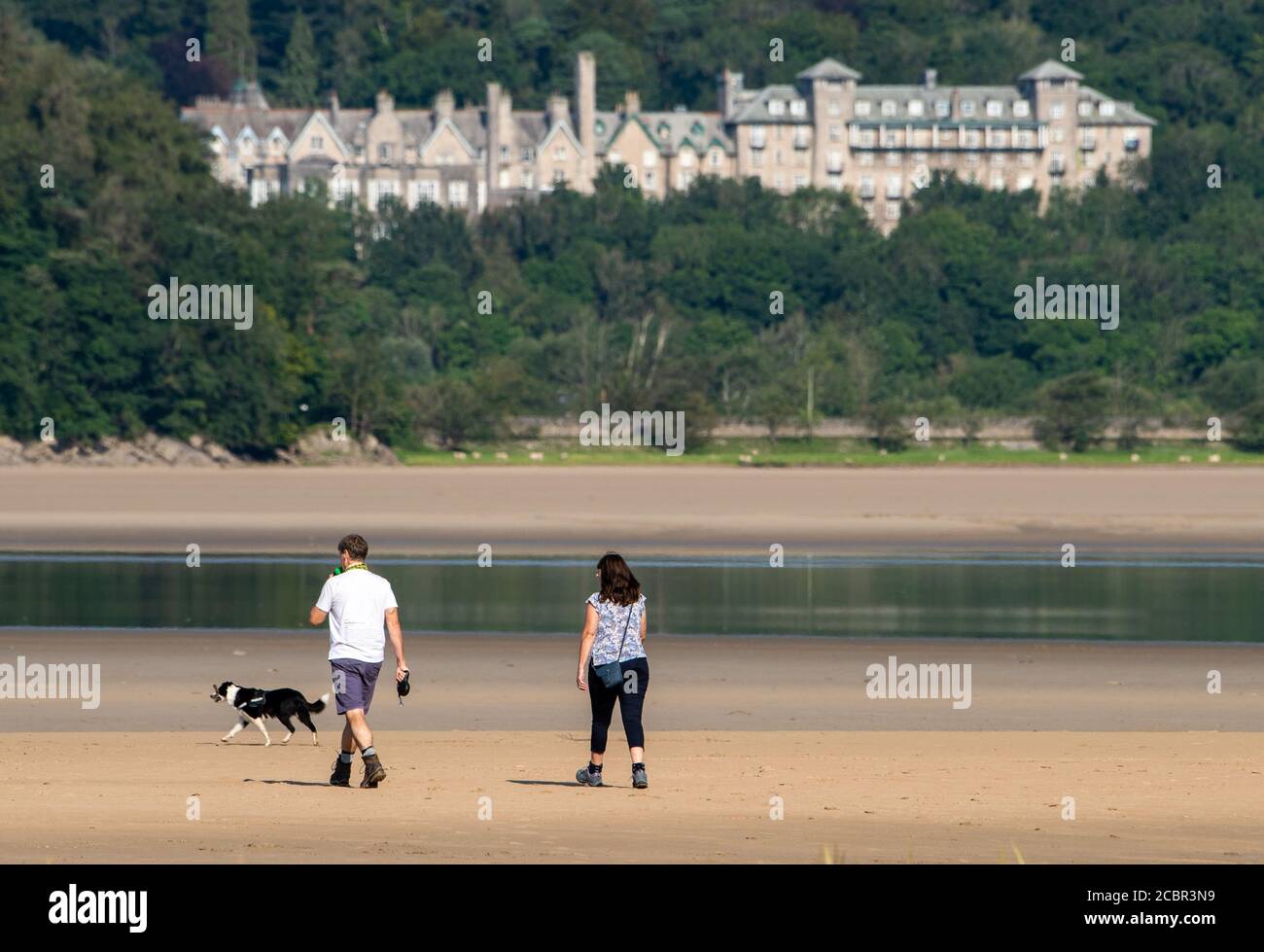 Grange-over-Sands, Cumbria, UK. 15th Aug, 2020. Dog walking on a fine summer morning at Grange-over-Sands, Cumbria, UK. Credit: John Eveson/Alamy Live News Stock Photo