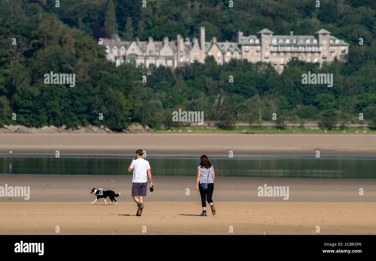 Grange-over-Sands, Cumbria, UK. 15th Aug, 2020. Dog walking on a fine summer morning at Grange-over-Sands, Cumbria, UK. Credit: John Eveson/Alamy Live News Stock Photo