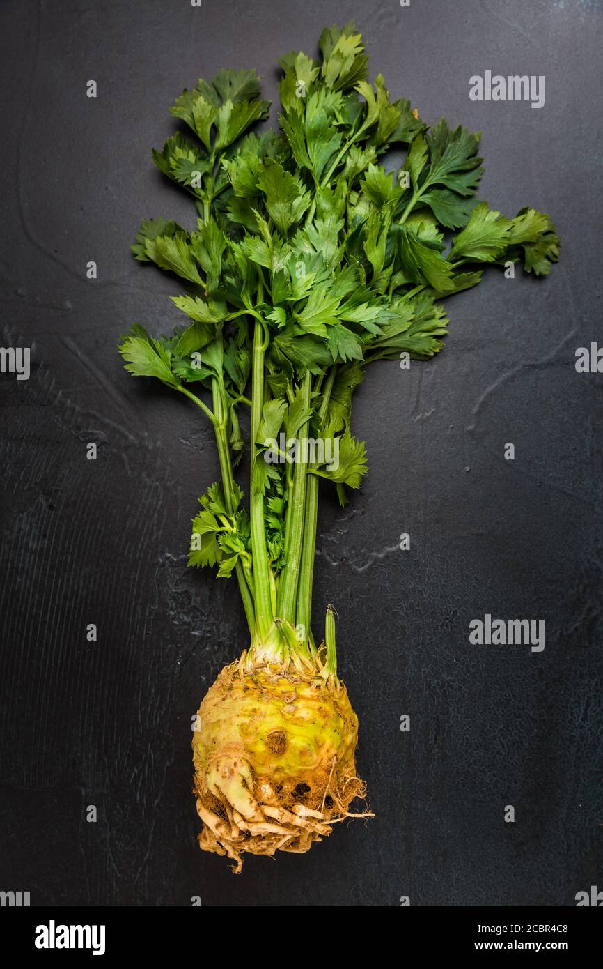 Root celery with green stems, on dark background. Top view. Stock Photo