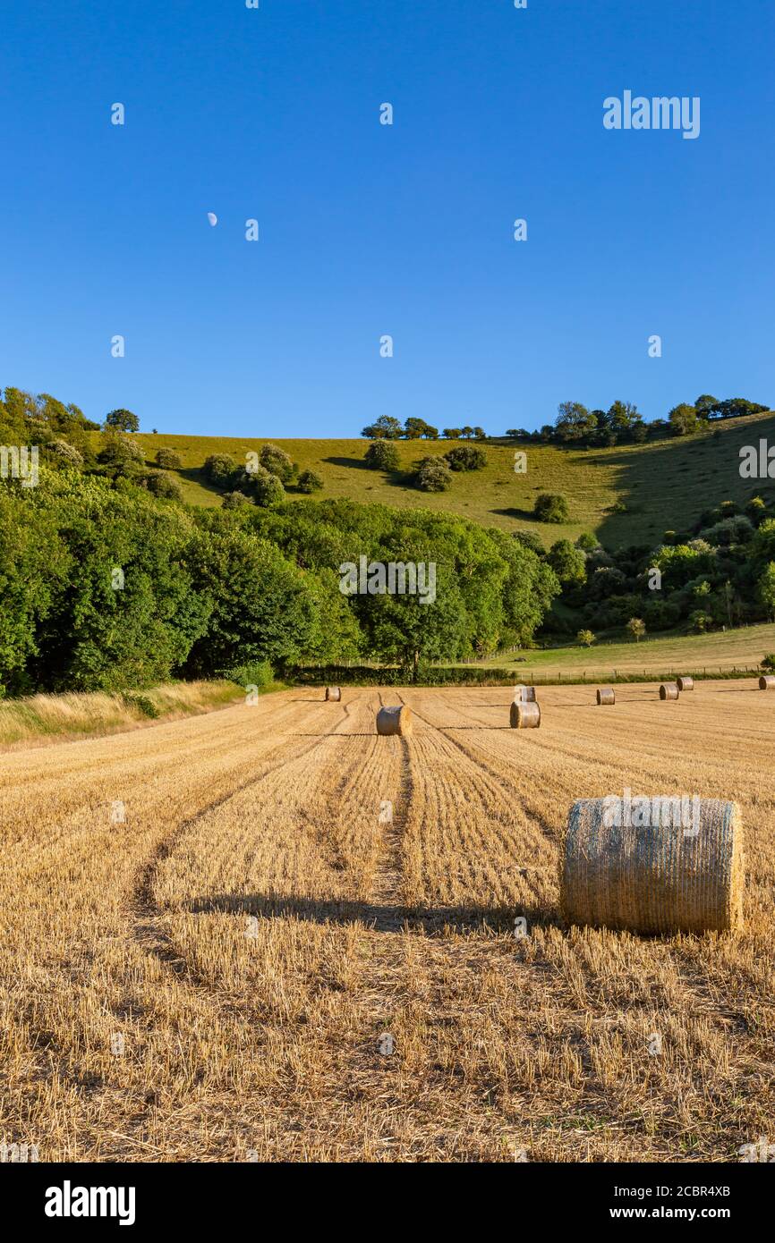 Hay Bales in a Sussex Field on a Sunny Summers Evening Stock Photo - Alamy