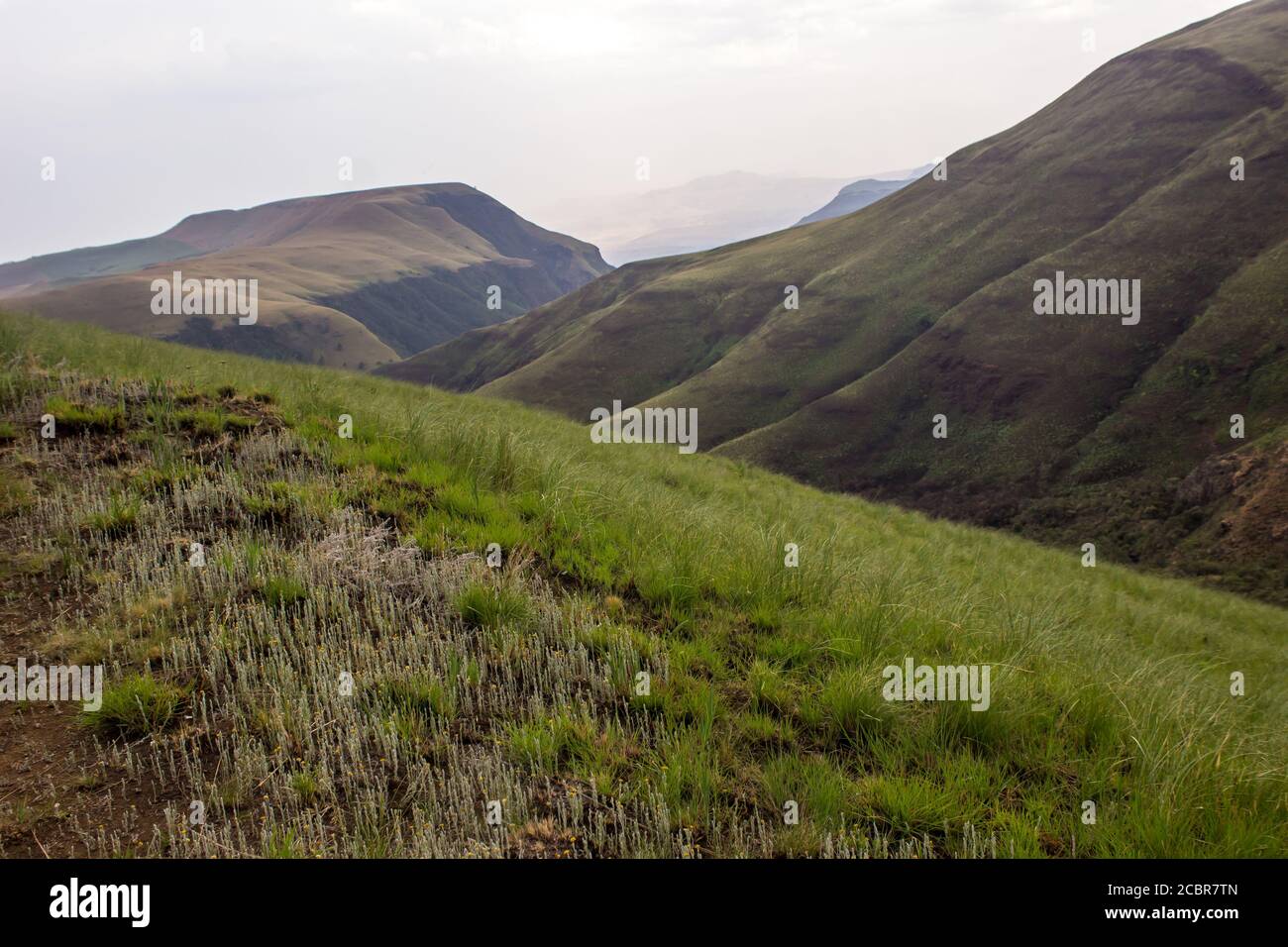 View over the grass covered slopes of the Drakensberg Mountains South Africa Stock Photo