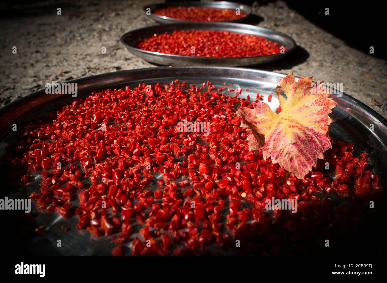 Drying of red pepper at steel trays Stock Photo