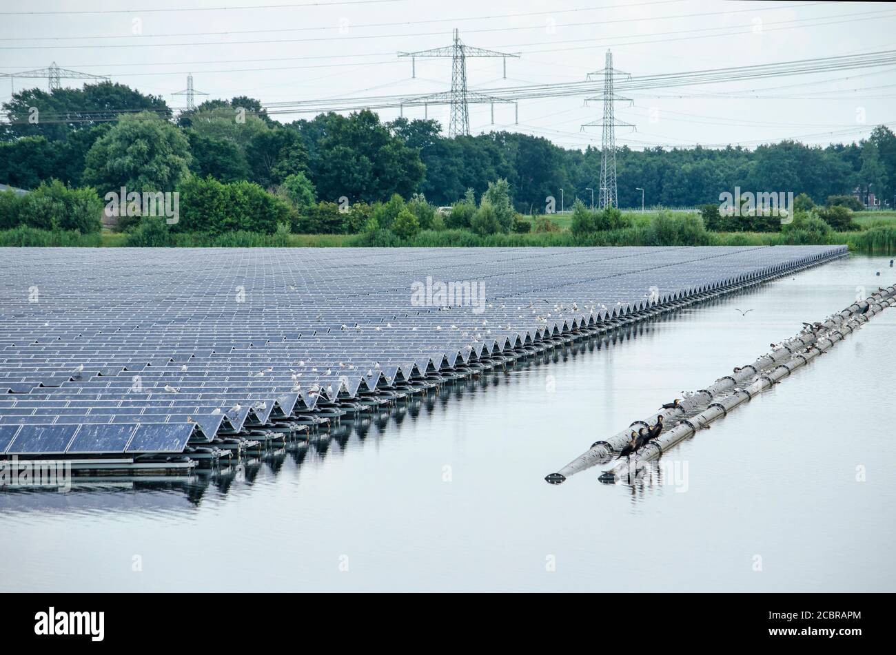 Zwolle, The Netherlands, July 19, 2020: birds resting on floating array of solar panels in artificial lake Sekdoornse Plas, with power lines and fores Stock Photo