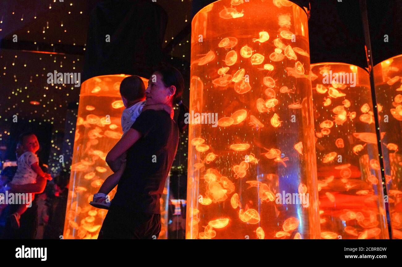 Changchun, China's Jilin Province. 15th Aug, 2020. Visitors look at jellyfish at the 19th China Changchun International Agriculture and Food Fair Expo, in Changchun, northeast China's Jilin Province, Aug. 15, 2020. Credit: Yan Linyun/Xinhua/Alamy Live News Stock Photo