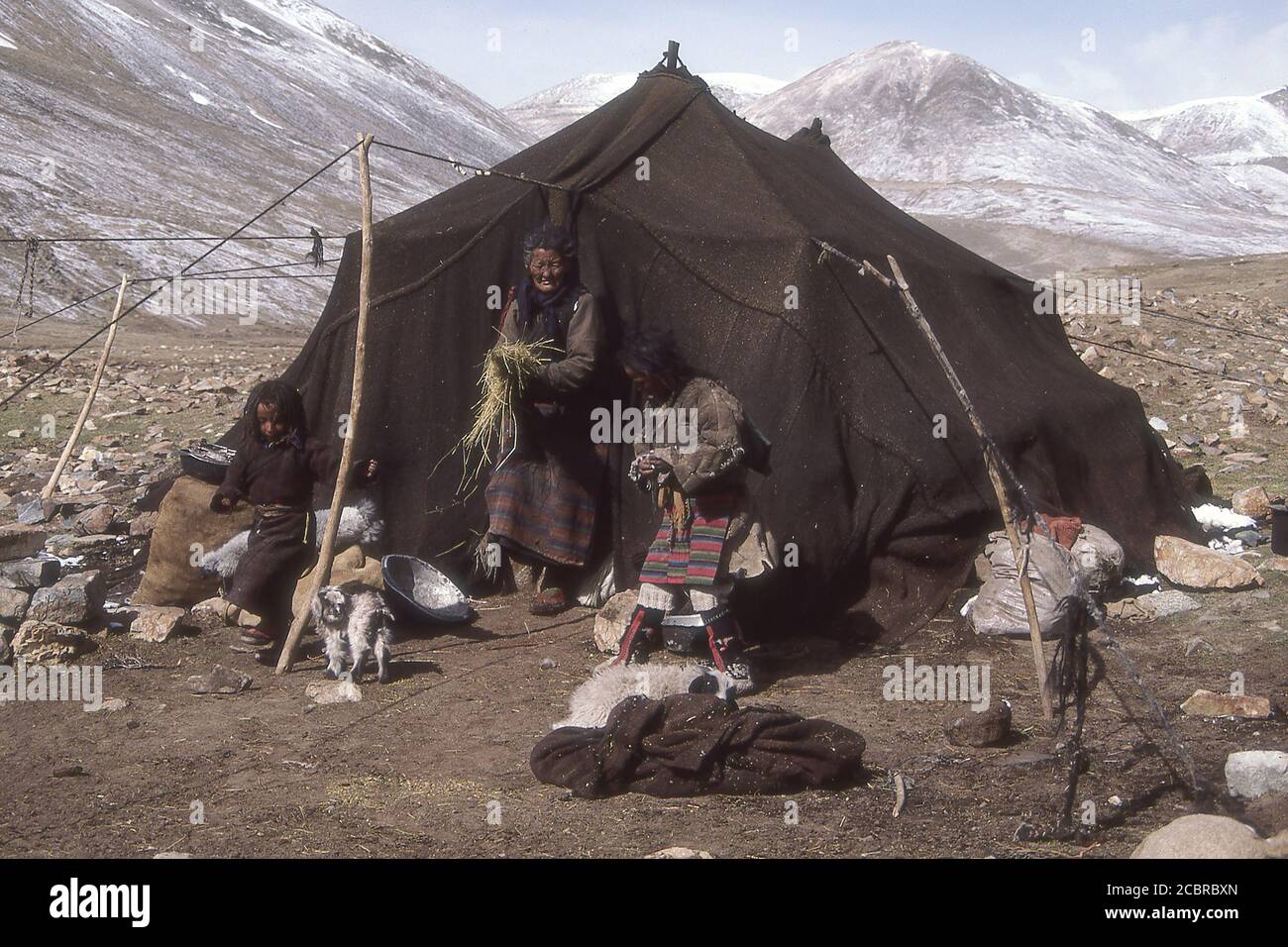 TIBET - NOMAD FAMILY AND THEIR TENT. Stock Photo