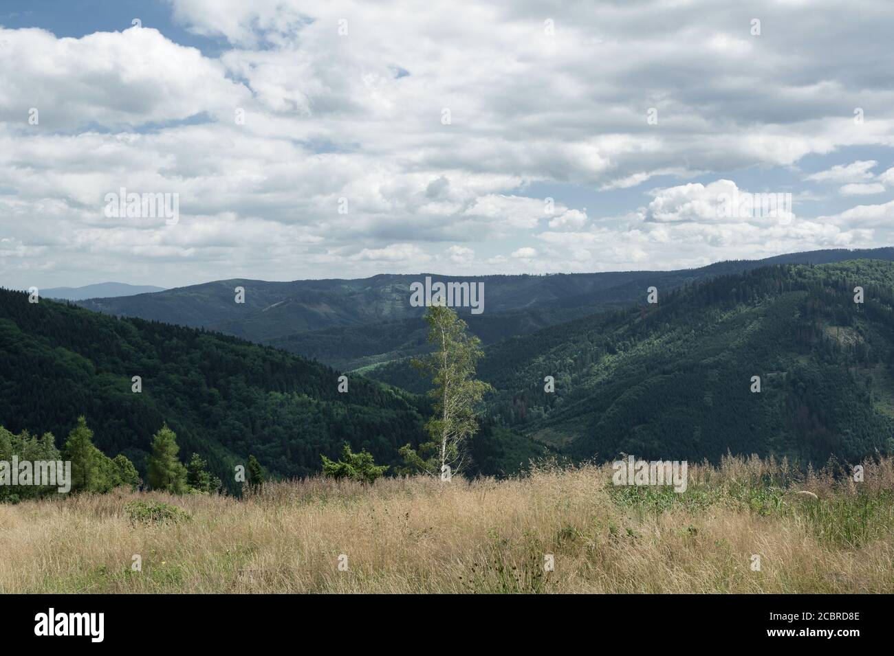 View from Kamenity, Moravian-Silesian Beskid mountains ( Beskids, Beskydy ), Western Carpathians, Czech Republic / Czechia - landscape with tree, hill Stock Photo