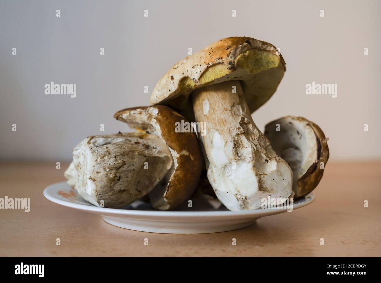 Eatable mushrooms and boletes on the plate Stock Photo