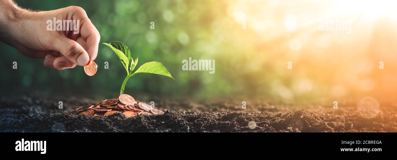 Hand Adding Penny To Pile Of Coins With Plant In Soil - Business Growth / Investment Concept Stock Photo